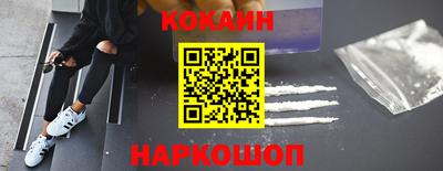 крисы Славгород