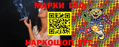 крисы Славгород