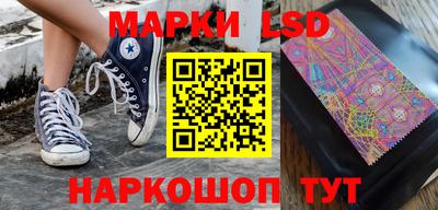 крисы Славгород