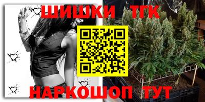 крисы Славгород