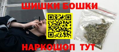 крисы Славгород
