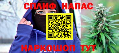 крисы Славгород