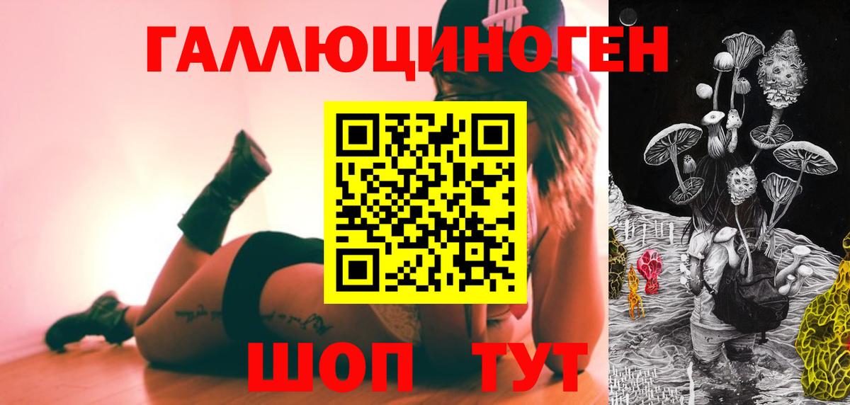 Псилоцибиновые грибы Psilocybine cubensis Магадан